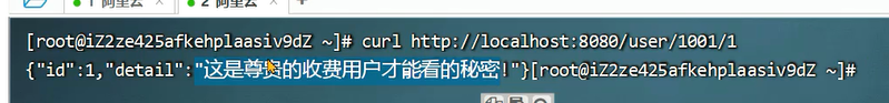image-20240311181955325